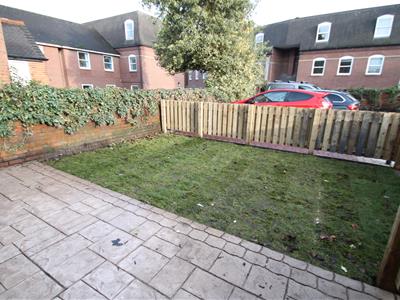 Picture 13
